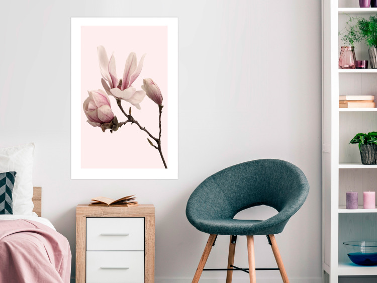 Wall Poster Blooming Flowers - delicate pink magnolias on a branch and pastel background 117165 additionalImage 2