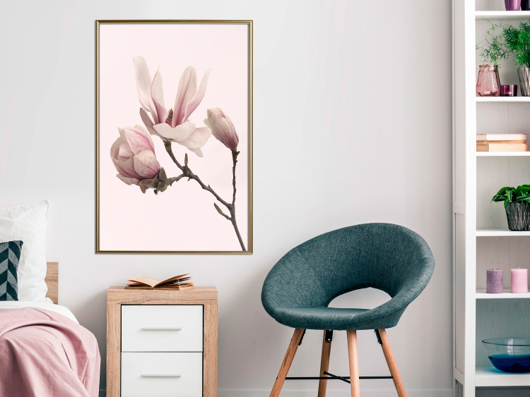 Wall Poster Blooming Flowers - delicate pink magnolias on a branch and pastel background 117165 additionalImage 7