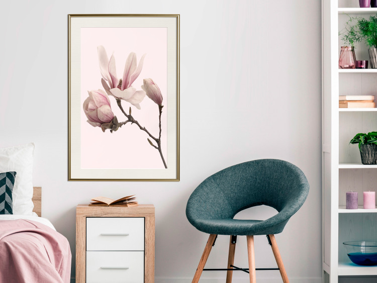 Wall Poster Blooming Flowers - delicate pink magnolias on a branch and pastel background 117165 additionalImage 21