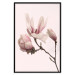 Wall Poster Blooming Flowers - delicate pink magnolias on a branch and pastel background 117165 additionalThumb 18