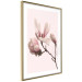 Wall Poster Blooming Flowers - delicate pink magnolias on a branch and pastel background 117165 additionalThumb 6