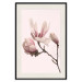 Wall Poster Blooming Flowers - delicate pink magnolias on a branch and pastel background 117165 additionalThumb 18
