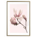 Wall Poster Blooming Flowers - delicate pink magnolias on a branch and pastel background 117165 additionalThumb 16
