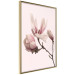Wall Poster Blooming Flowers - delicate pink magnolias on a branch and pastel background 117165 additionalThumb 14