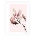 Wall Poster Blooming Flowers - delicate pink magnolias on a branch and pastel background 117165 additionalThumb 25