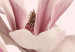Wall Poster Blooming Flowers - delicate pink magnolias on a branch and pastel background 117165 additionalThumb 11
