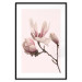 Wall Poster Blooming Flowers - delicate pink magnolias on a branch and pastel background 117165 additionalThumb 17