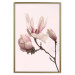 Wall Poster Blooming Flowers - delicate pink magnolias on a branch and pastel background 117165 additionalThumb 16