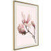Wall Poster Blooming Flowers - delicate pink magnolias on a branch and pastel background 117165 additionalThumb 2