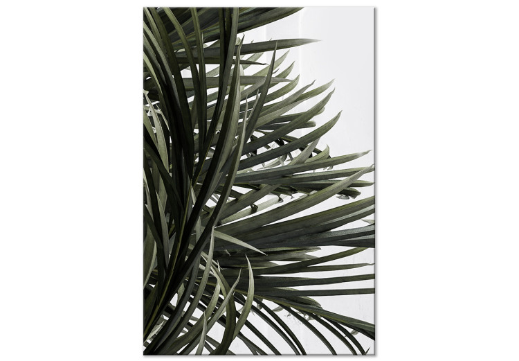 Canvas Art Print In the Shade of Palm Trees (1 Part) Vertical 123665