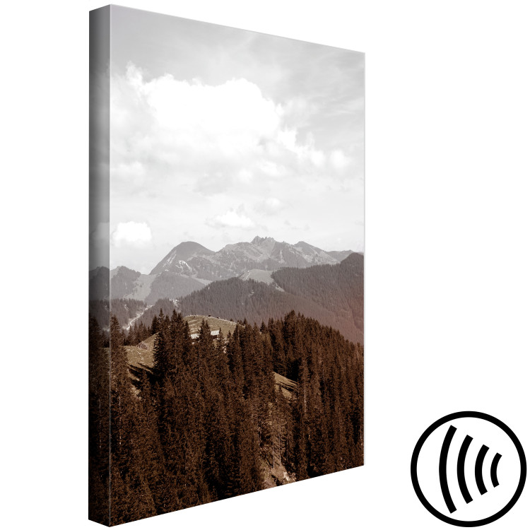 Canvas Aerial mountains - mountain landscape with forest and white clouds 124465 additionalImage 6