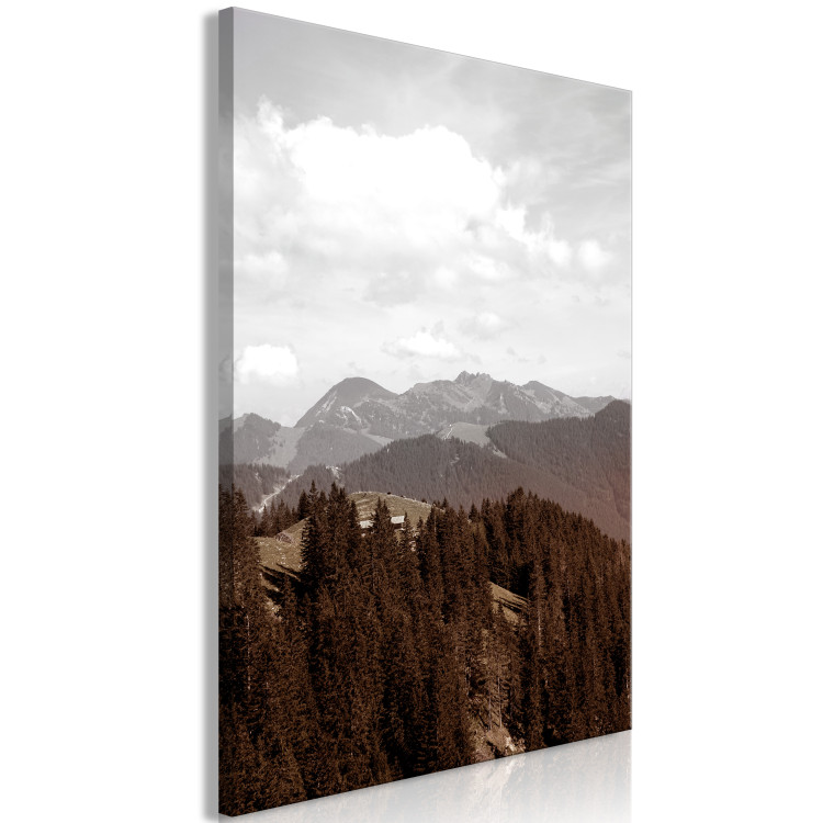 Canvas Aerial mountains - mountain landscape with forest and white clouds 124465 additionalImage 2