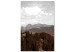 Canvas Aerial mountains - mountain landscape with forest and white clouds 124465