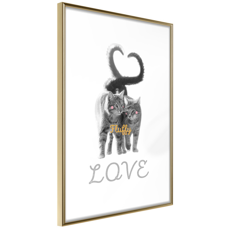 Poster Fluffy Love - gray cats and English text on a white background 125265 additionalImage 6