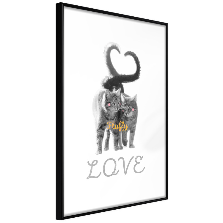 Poster Fluffy Love - gray cats and English text on a white background 125265 additionalImage 10