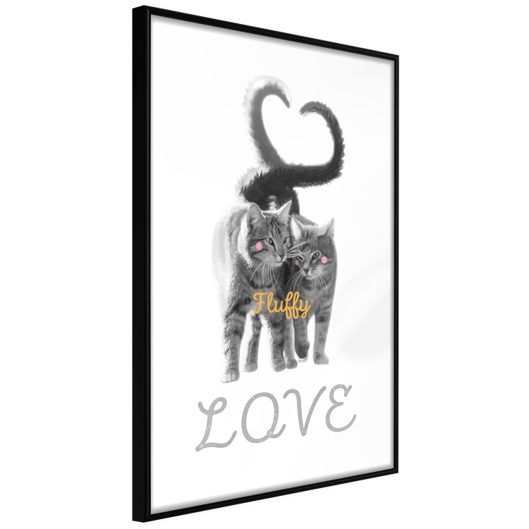 Poster Fluffy Love - gray cats and English text on a white background 125265 additionalImage 11
