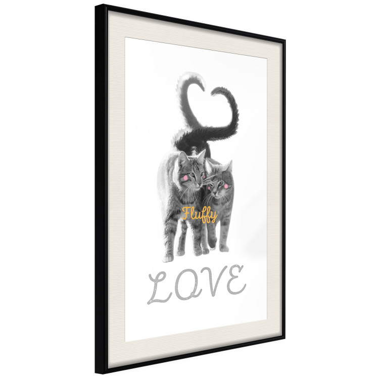Poster Fluffy Love - gray cats and English text on a white background 125265 additionalImage 3