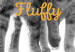 Poster Fluffy Love - gray cats and English text on a white background 125265 additionalThumb 8