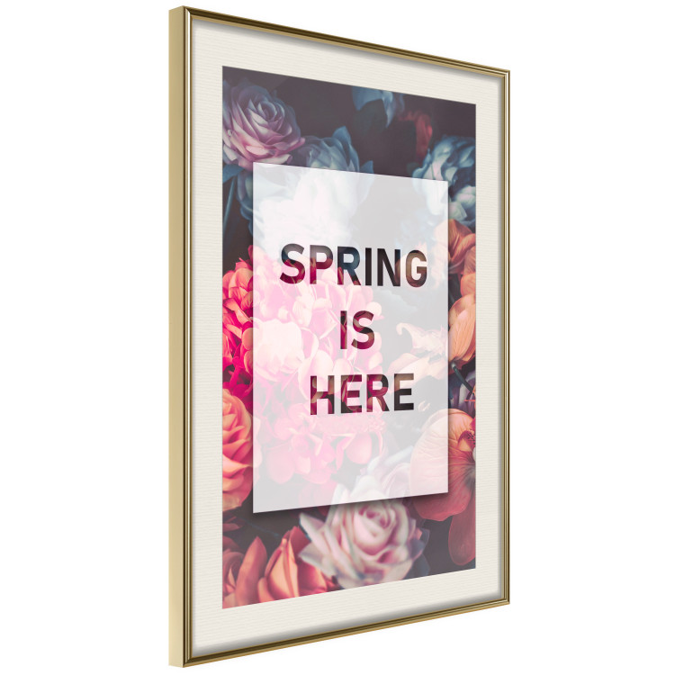 Poster Spring Is Here - English inscriptions in a white frame on a background of flowers 127065 additionalImage 3