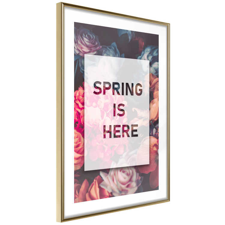 Poster Spring Is Here - English inscriptions in a white frame on a background of flowers 127065 additionalImage 9