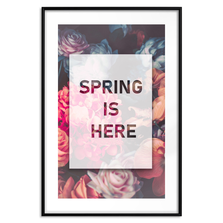 Poster Spring Is Here - English inscriptions in a white frame on a background of flowers 127065 additionalImage 21