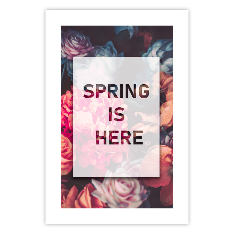 Poster Spring Is Here - English inscriptions in a white frame on a background of flowers 127065 additionalImage 24