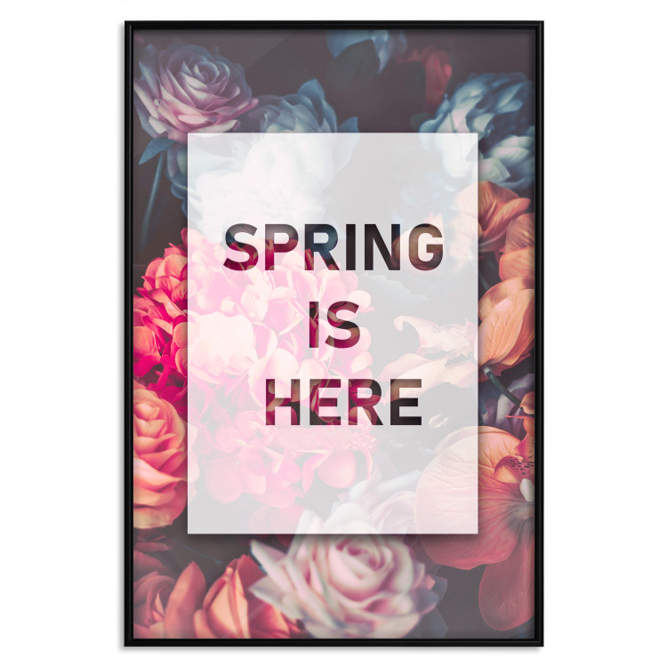 Poster Spring Is Here - English inscriptions in a white frame on a background of flowers 127065 additionalImage 27