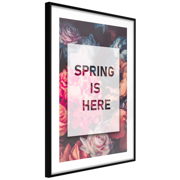 Poster Spring Is Here - English inscriptions in a white frame on a background of flowers 127065 additionalImage 8