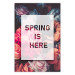 Poster Spring Is Here - English inscriptions in a white frame on a background of flowers 127065