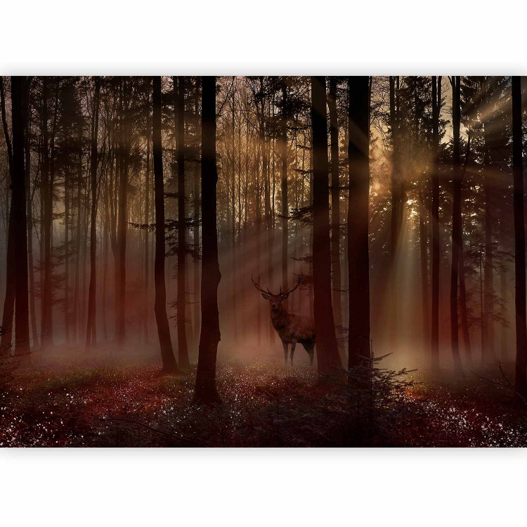 Wall Mural Mystical Forest - First Variant 128765 additionalImage 1