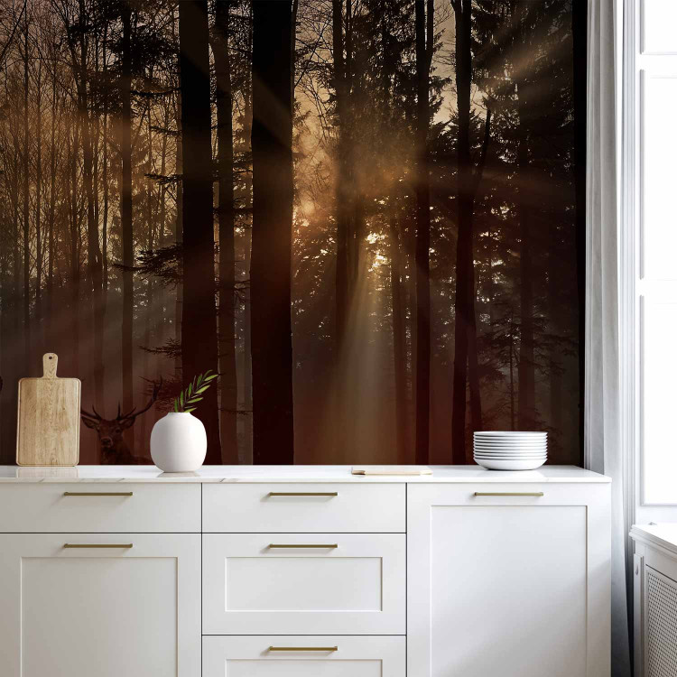 Wall Mural Mystical Forest - First Variant 128765 additionalImage 6