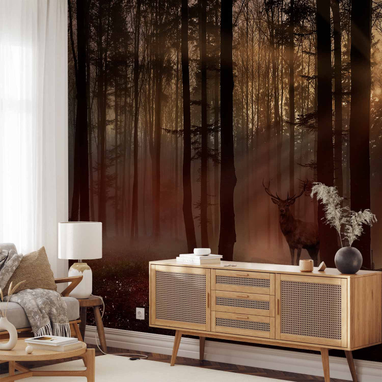 Wall Mural Mystical Forest - First Variant 128765