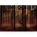 Wall Mural Mystical Forest - First Variant 128765 additionalThumb 1