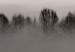 Poster Island of Mists - black and white lakeside landscape with mist-covered island 130265 additionalThumb 12