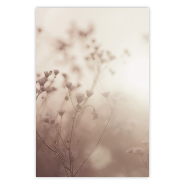 Wall Poster Morning Meadow - a composition of plants with flowers against the backdrop of sunlight 130765
