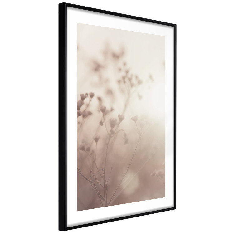 Wall Poster Morning Meadow - a composition of plants with flowers against the backdrop of sunlight 130765 additionalImage 6