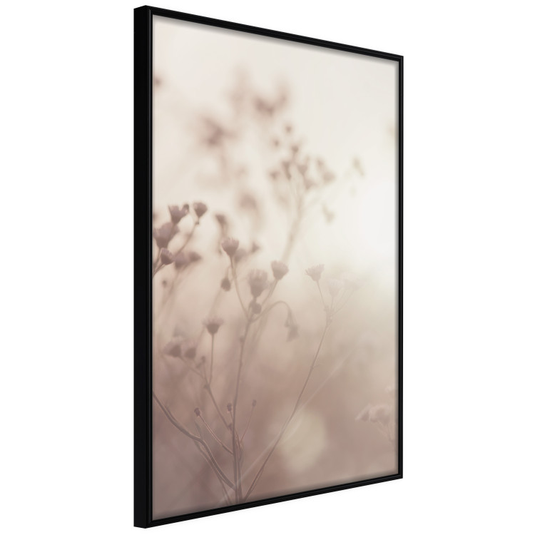 Wall Poster Morning Meadow - a composition of plants with flowers against the backdrop of sunlight 130765 additionalImage 11