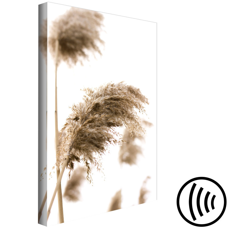 Canvas Print Dry Wind (1-piece) Vertical - plant landscape in boho motif 131565 additionalImage 6
