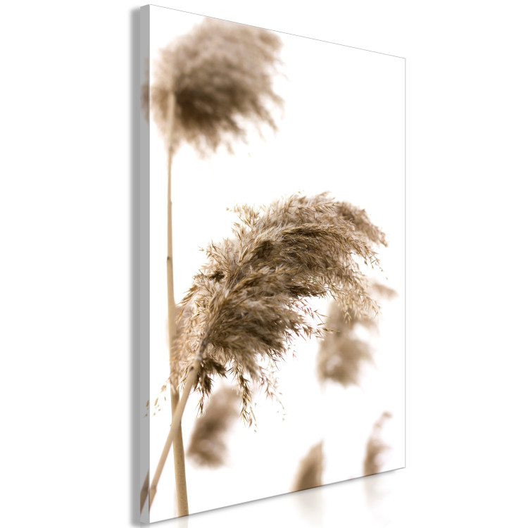 Canvas Print Dry Wind (1-piece) Vertical - plant landscape in boho motif 131565 additionalImage 2