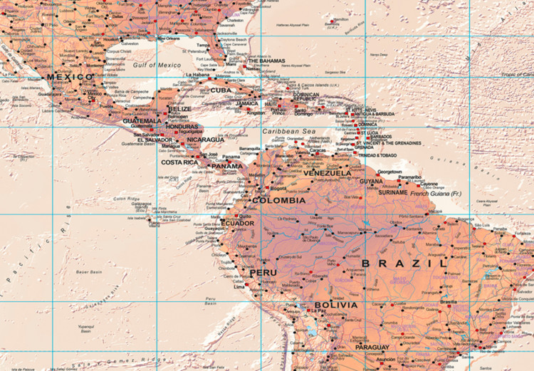 Large canvas print World Map: Orange World II [Large Format] 132365 additionalImage 5