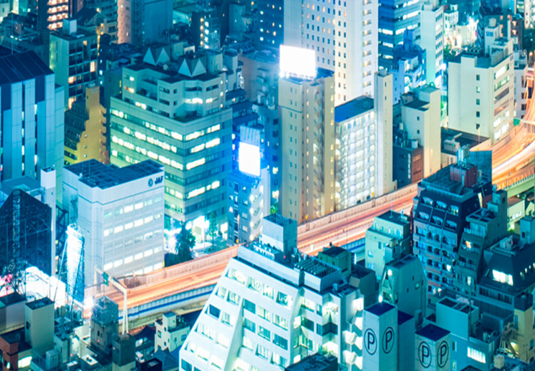 Large canvas print Tokyo: City of Tower Blocks II [Large Format] 137665 additionalImage 4