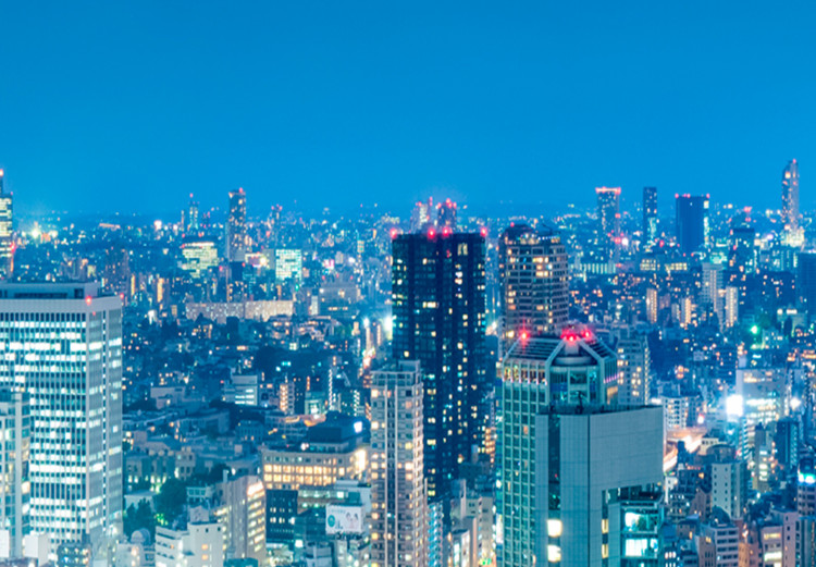 Large canvas print Tokyo: City of Tower Blocks II [Large Format] 137665 additionalImage 5