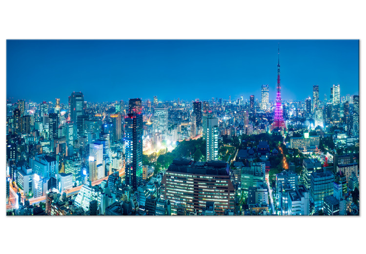 Large canvas print Tokyo: City of Tower Blocks II [Large Format] 137665