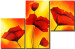 Canvas Hot poppies 47165