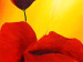 Canvas Hot poppies 47165 additionalThumb 2
