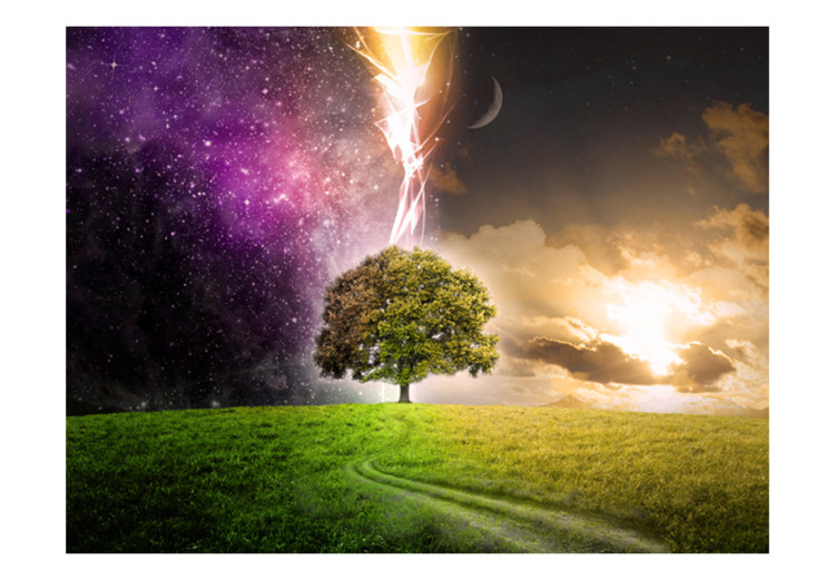 Wall Mural Fantasy about Nature - tree on a meadow day and night among stars 59765 additionalImage 1