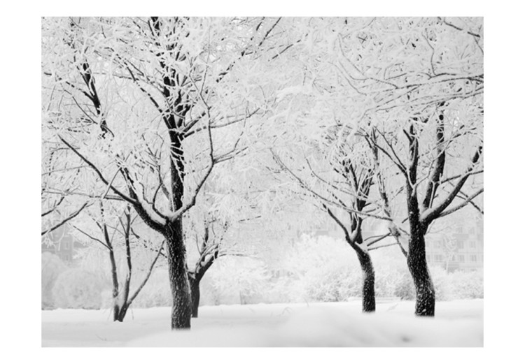 Photo Wallpaper Trees - winter landscape 60265 additionalImage 1