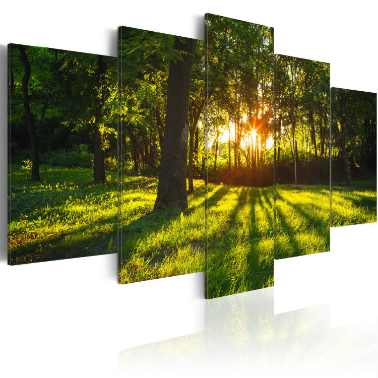 Canvas The forest reflection 61765 additionalImage 2