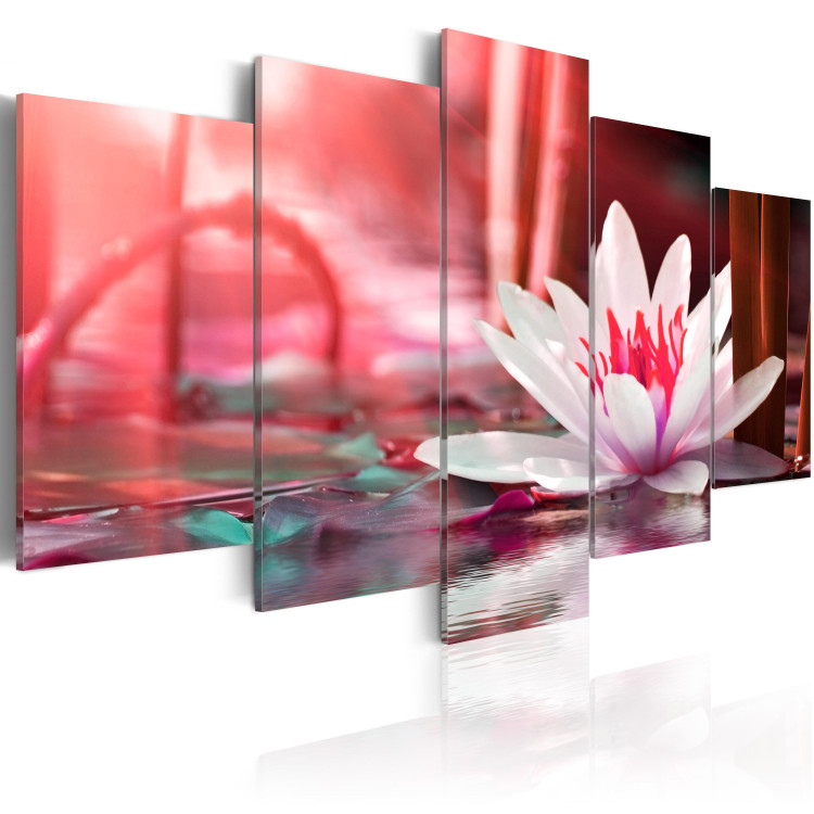 Canvas Art Print Amaranth Lotus (5-piece) - Pink Flower on a Surface of Red Water 93065 additionalImage 2