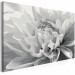 Paint by number Black & White Flower 107175 additionalThumb 4